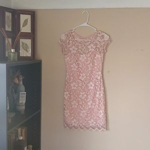 Pink Lace Mini BodyCon Dress size Small